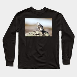 Snow bunting Long Sleeve T-Shirt